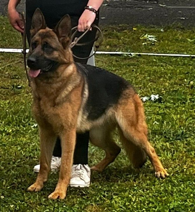 Una De L'Etoile Chanceuse